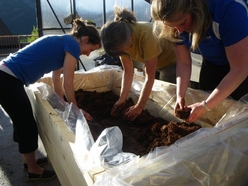 Breaking up the clumps of soaking coir fibre (a peat alternative)